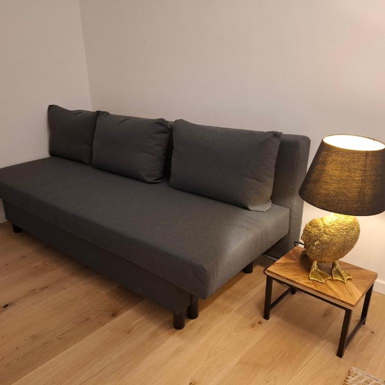 Grenzberg Appartements - Apartment mit 1 Schlafzimmer und Aussicht - 4