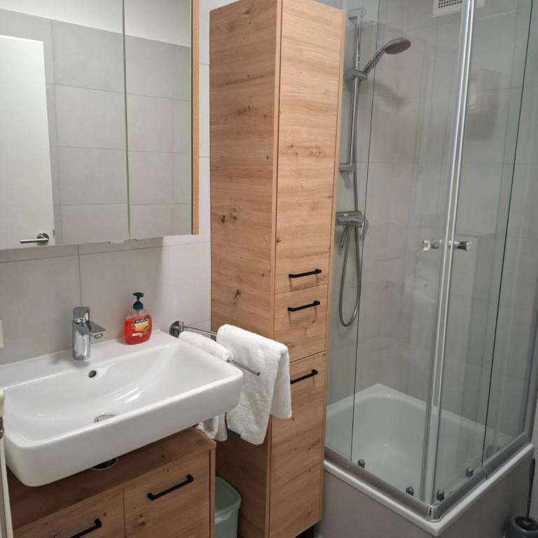 Grenzberg Appartements - Apartment mit 1 Schlafzimmer und Aussicht - 7