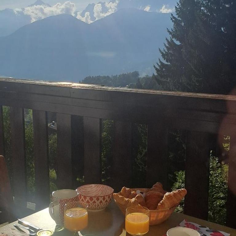 AP-37 La Grande Cordée Combloux - Appartement 1 Chambre - 24
