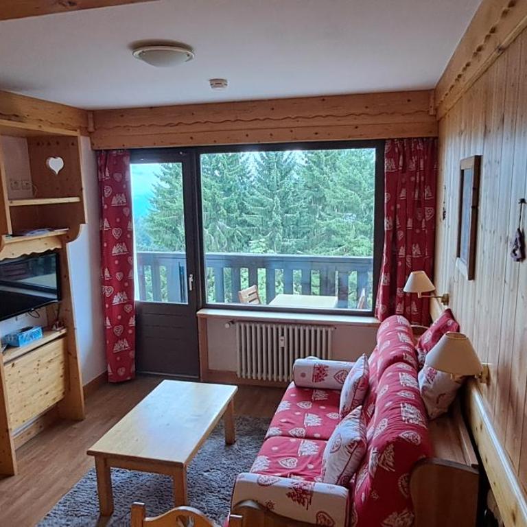 AP-37 La Grande Cordée Combloux - Appartement 1 Chambre - 30