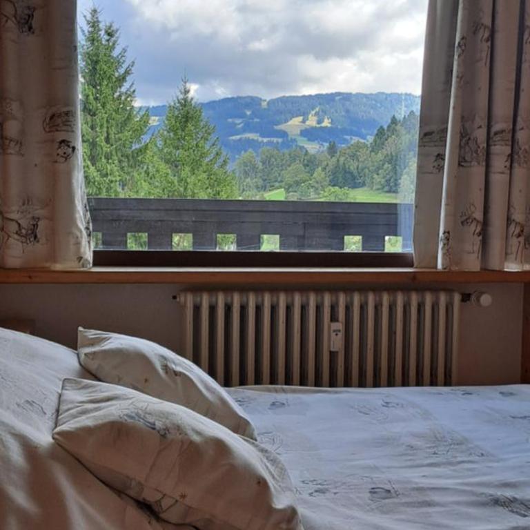 AP-37 La Grande Cordée Combloux - Appartement 1 Chambre - 25