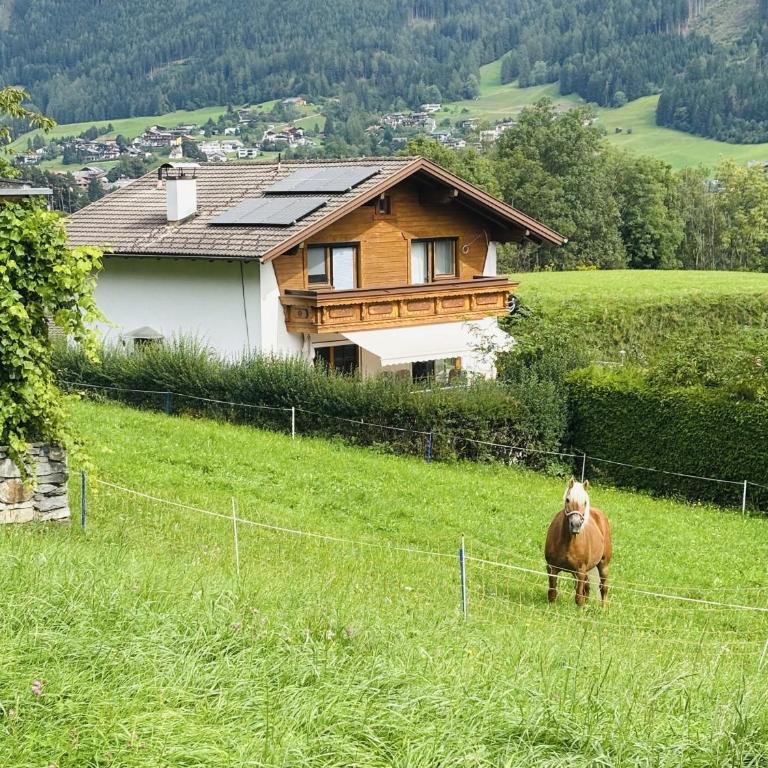 Alpenpause Apartment in Telfes - Apartment mit 2 Schlafzimmern - 33