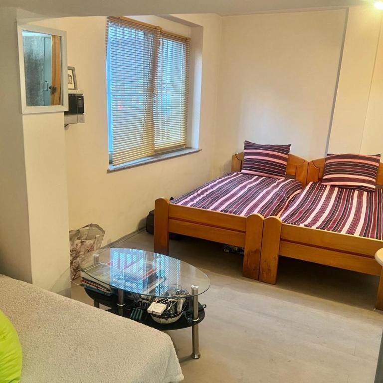Small & Cute Downtown Apartment with parking - One-Bedroom Apartment - 11