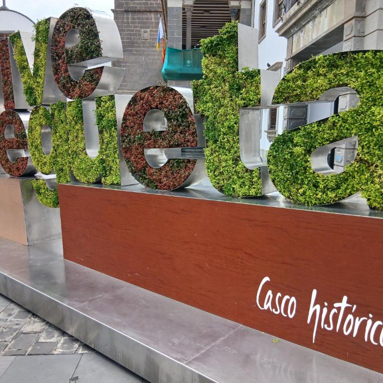 Street House - Apartamento - Planta baja - 14