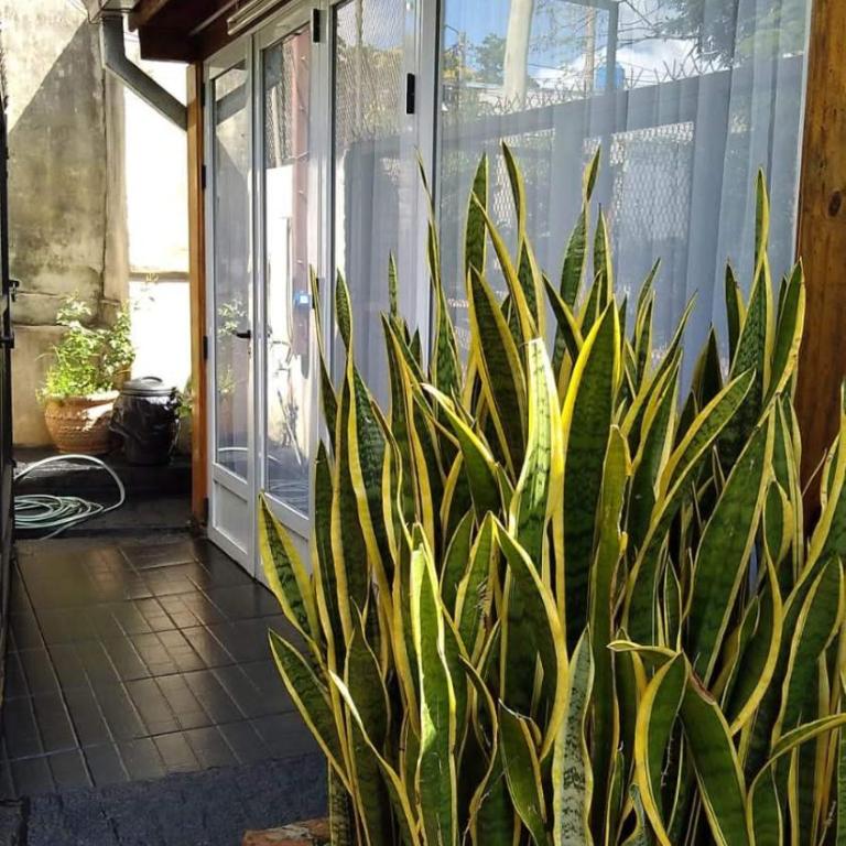 Posada las Morenas Per Day - Apartamento de 1 dormitorio - 32