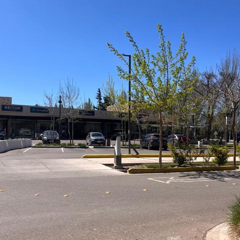 Departamento entero en el pedemonte mendocino - Apartamento de 2 dormitorios - 14