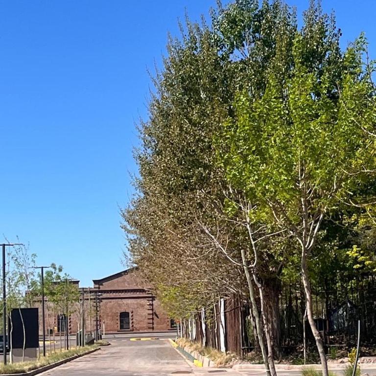 Departamento entero en el pedemonte mendocino - Apartamento de 2 dormitorios - 18