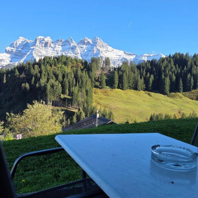 Chalet Ecureuil à Champoussin - Portes du Soleil - Apartment mit 2 Schlafzimmern und Terrasse - 35