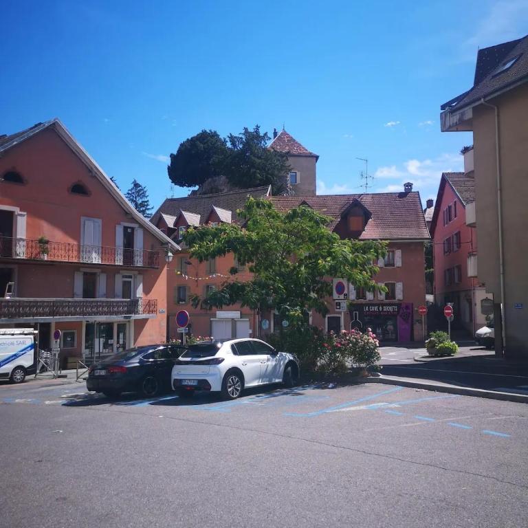 T2 Cozy au Centre - 3 Couchages - Annecy à 30mn - Chamonix, Megève à 45mn - Événements Salon RochExpo - Festivals - Train Express Annecy Evian-les-Bains- Genève - Appartement 1 Chambre - Non-Fumeurs - 11