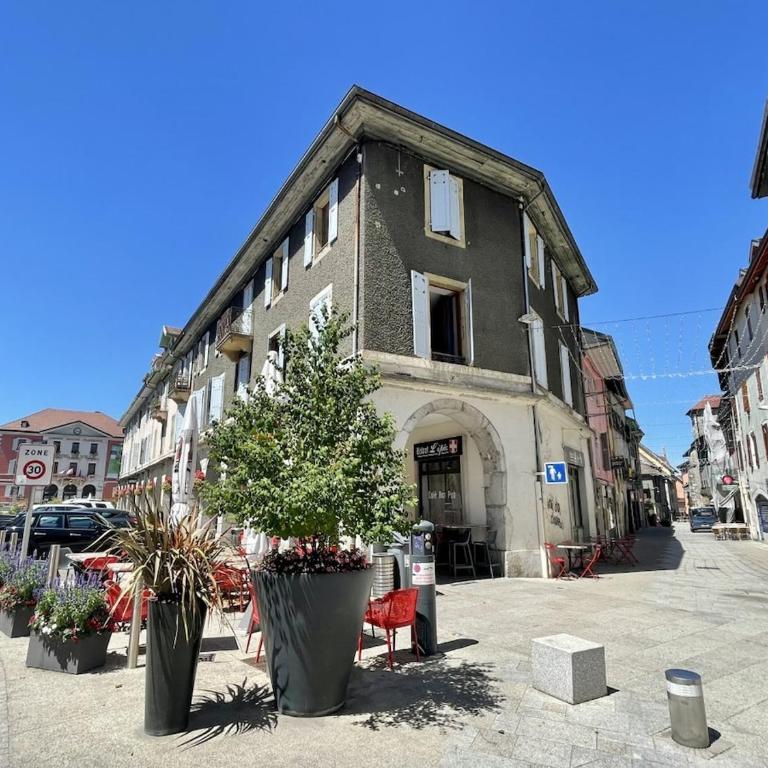 T2 Cozy au Centre - 3 Couchages - Annecy à 30mn - Chamonix, Megève à 45mn - Événements Salon RochExpo - Festivals - Train Express Annecy Evian-les-Bains- Genève - Appartement 1 Chambre - Non-Fumeurs - 19