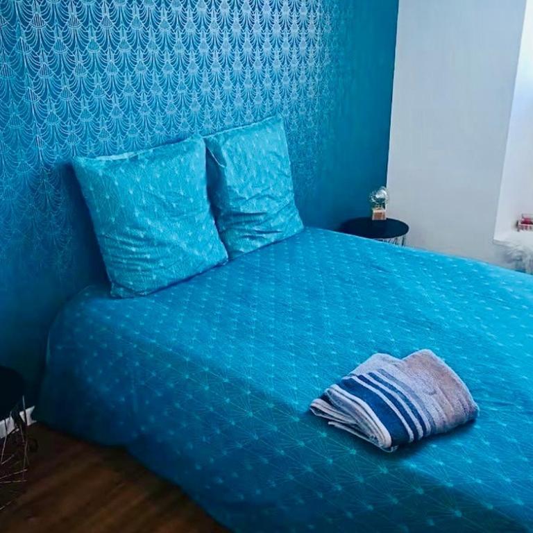 T2 Cozy au Centre - 3 Couchages - Annecy à 30mn - Chamonix, Megève à 45mn - Événements Salon RochExpo - Festivals - Train Express Annecy Evian-les-Bains- Genève - Appartement 1 Chambre - Non-Fumeurs - 4