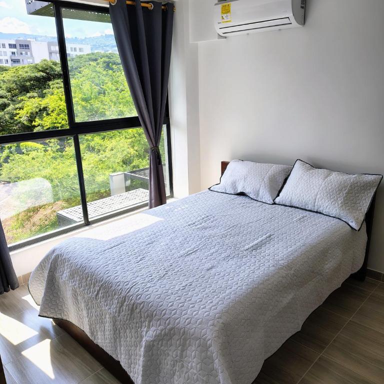 Apartamento Moderno con Vista a las Montañas Ideal para Teletrabajo o Descansar - One-Bedroom Apartment - 6