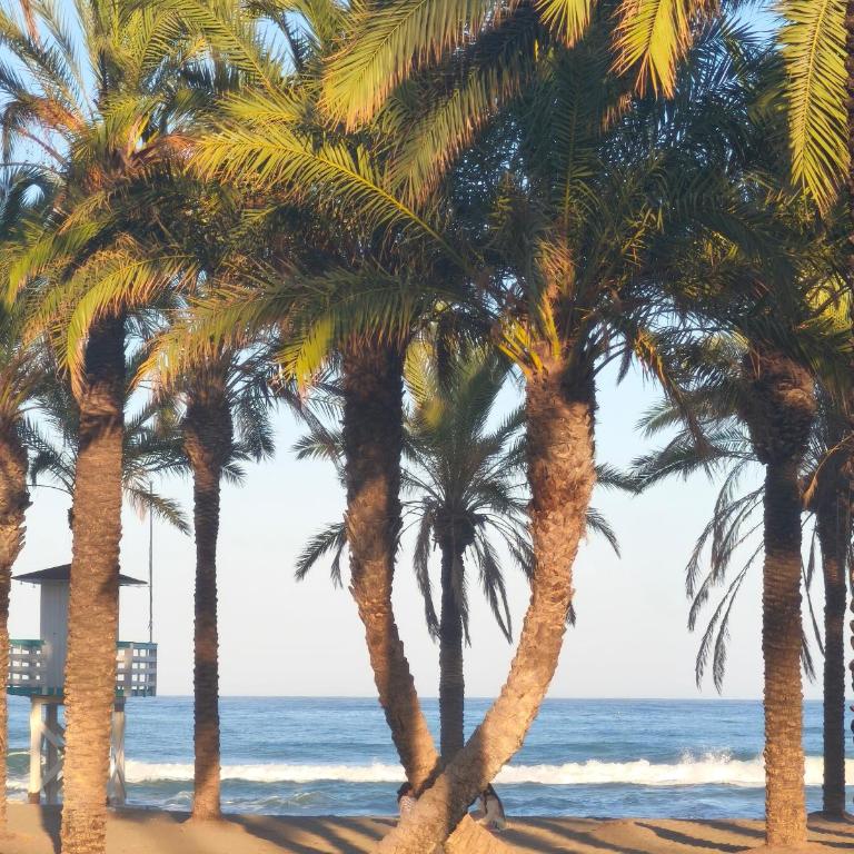 Atico La Carihuela BroadView - Apartamento de 2 dormitorios - 28