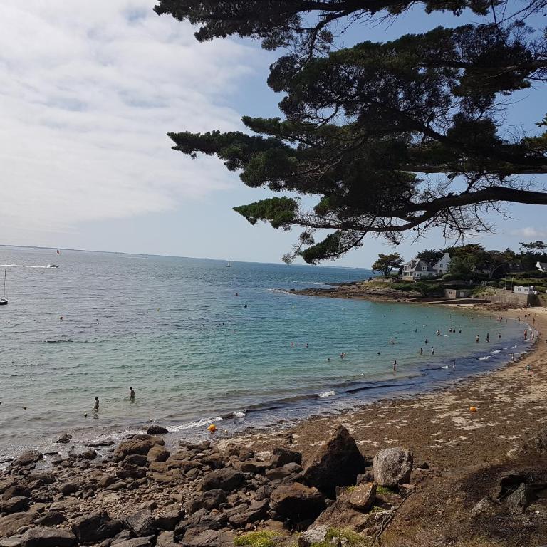 Apartment Arzon Port Crouesty - Appartement - 19