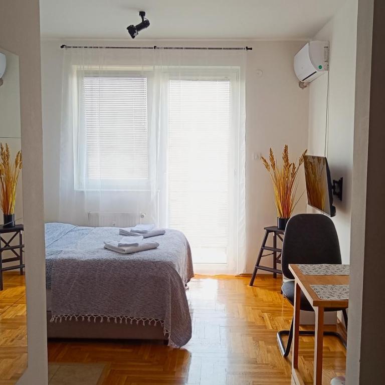 Apartment Terminal - One-Bedroom Apartment - 2
