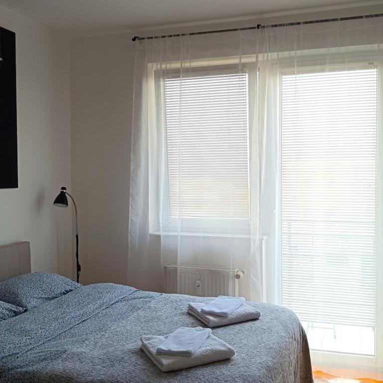 Apartment Terminal - One-Bedroom Apartment - 5