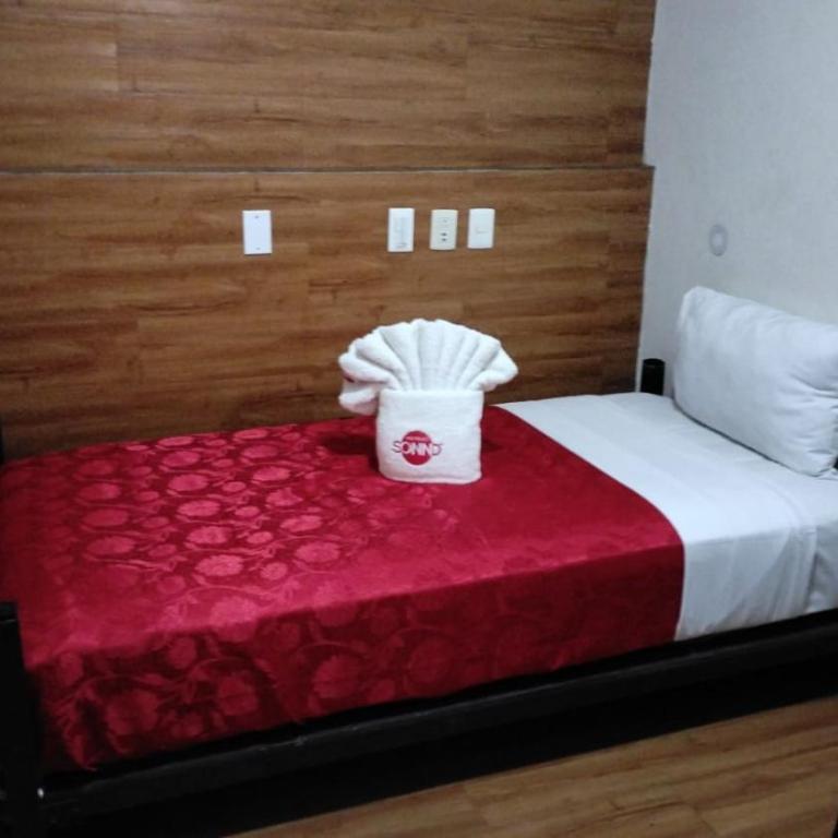 Hotel Sonno Plaza Allende - Single Room - 1