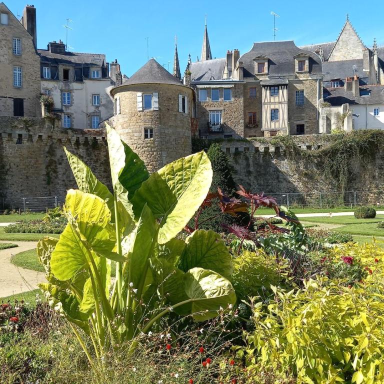 Un nid à Vannes - Appartement 1 Chambre - Non-Fumeurs - 18