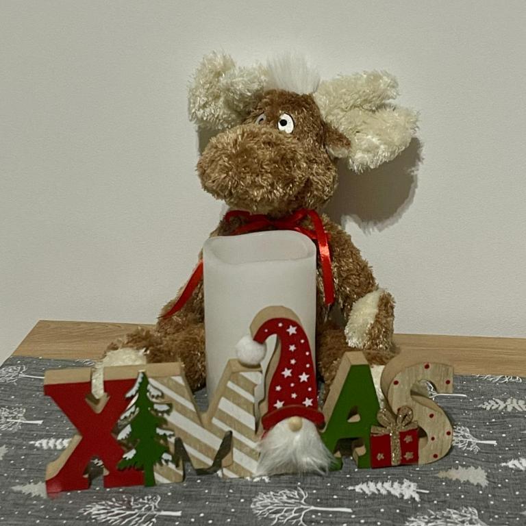 Riverside Nis - Apartman s 1 Spavaćom Sobom i Pogledom na Reku - 38