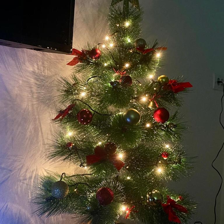 Riverside Nis - Apartman s 1 Spavaćom Sobom i Pogledom na Reku - 87