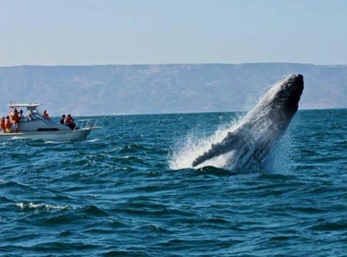 modern loft facing the sea - Apartamento de 2 dormitorios - 2