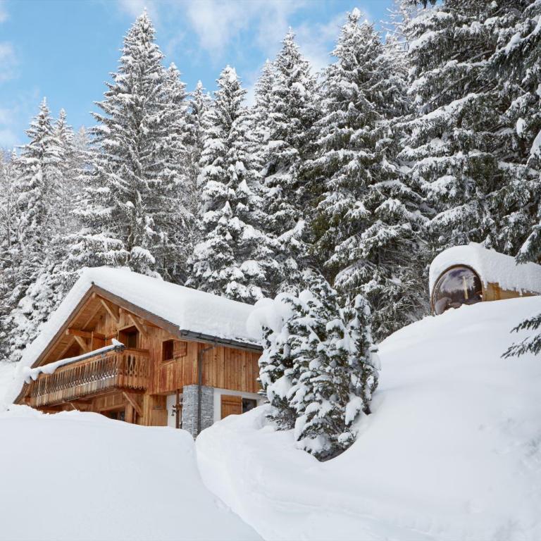 Marmotte Mountain Retreat - Chalet - 28