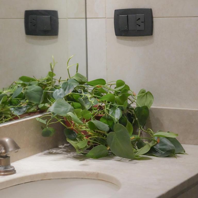 Penthouse en el corazon de RECOLETA - Casa de 2 dormitorios - 3