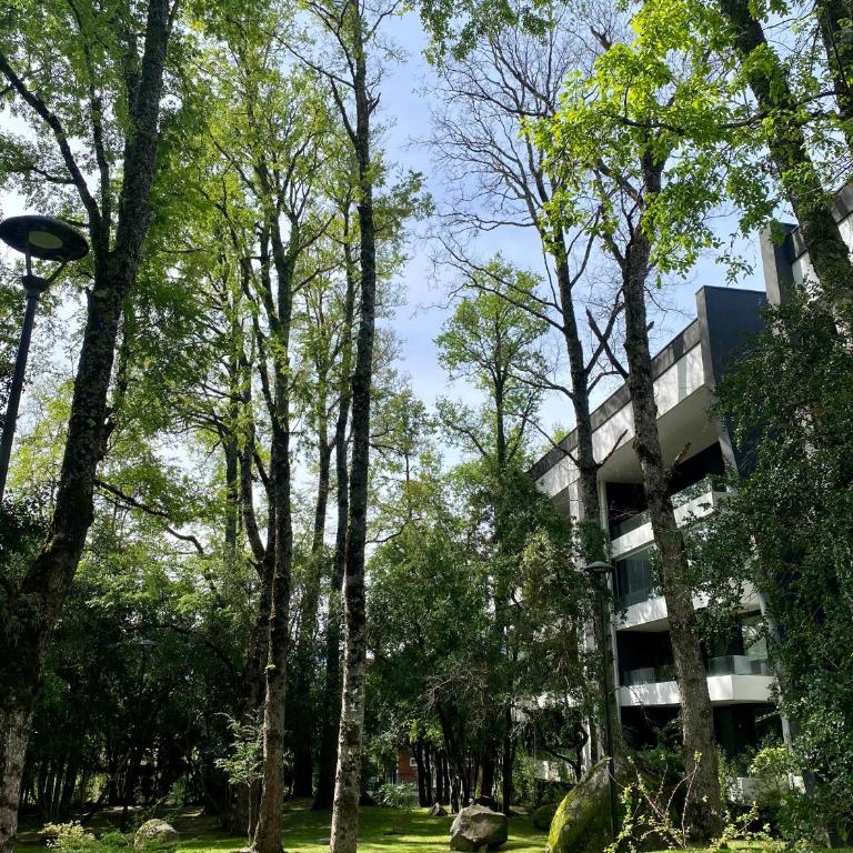 Acogedor departamento de lujo - Three-Bedroom Deluxe Apartment - 35