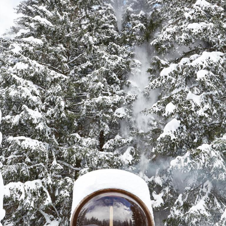 Marmotte Mountain Retreat - Chalet - 4