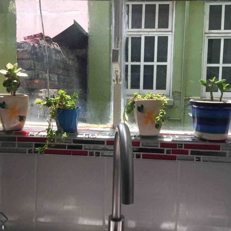 Centrally located in Mexico City culture, walking, shopping! - Apartment mit 1 Schlafzimmer - 2