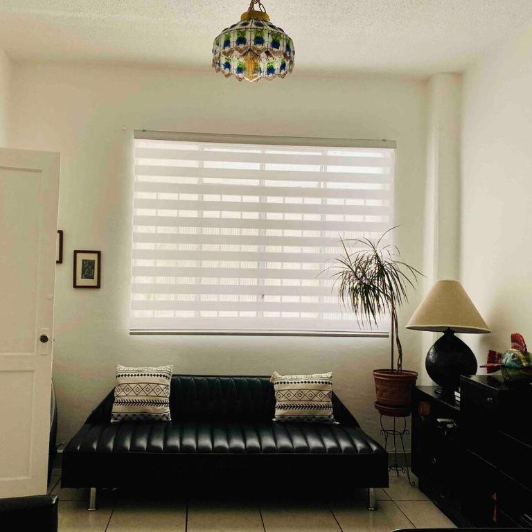 Centrally located in Mexico City culture, walking, shopping! - Apartment mit 1 Schlafzimmer - 36