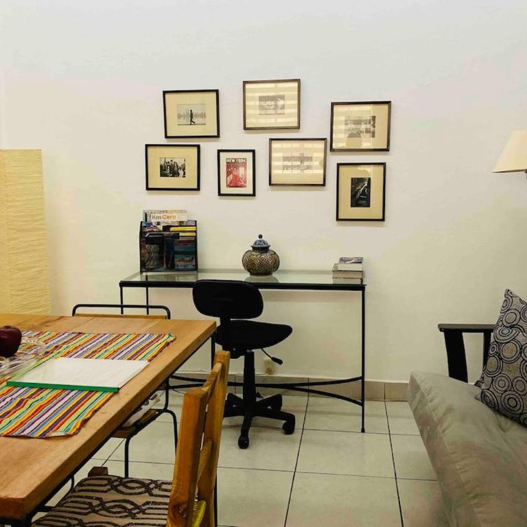 Centrally located in Mexico City culture, walking, shopping! - Apartment mit 1 Schlafzimmer - 44