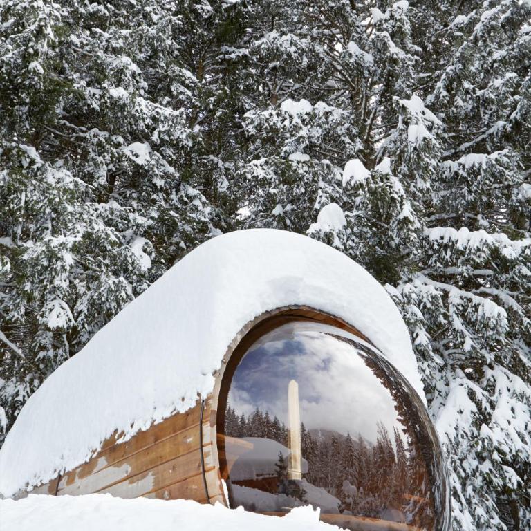 Marmotte Mountain Retreat - Chalet - 26