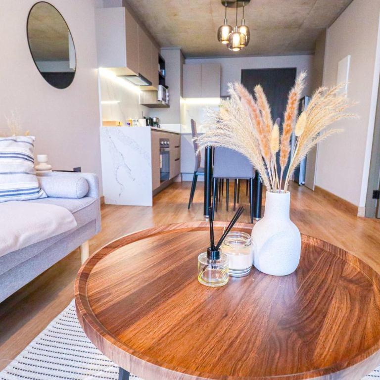 HOM I TOP1 en Providencia 1D1B, Metro Santa Isabel - Apartment - 2