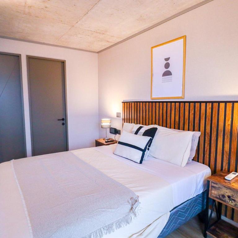 HOM I TOP1 en Providencia 1D1B, Metro Santa Isabel - Apartment - 23