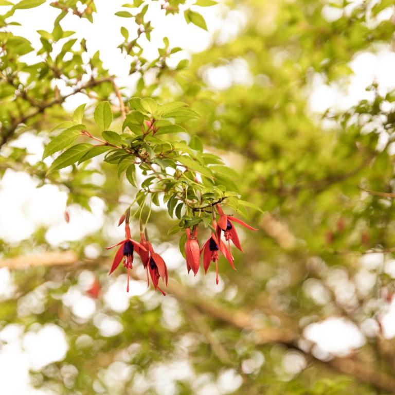 Casa Magdalena ideal para Familias - Casa de 3 dormitorios - 44