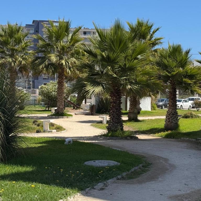 Nova Pacifico - Three-Bedroom Apartment - 3