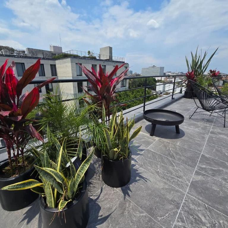 ZKH Luxury Collection Roma Norte - Apartment - 16