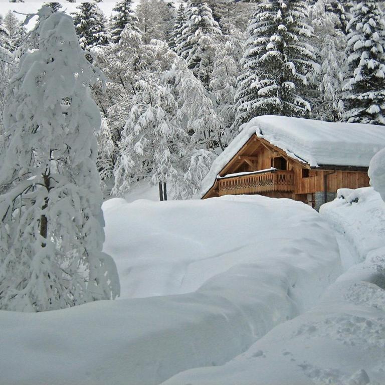 Marmotte Mountain Retreat - Chalet - 6
