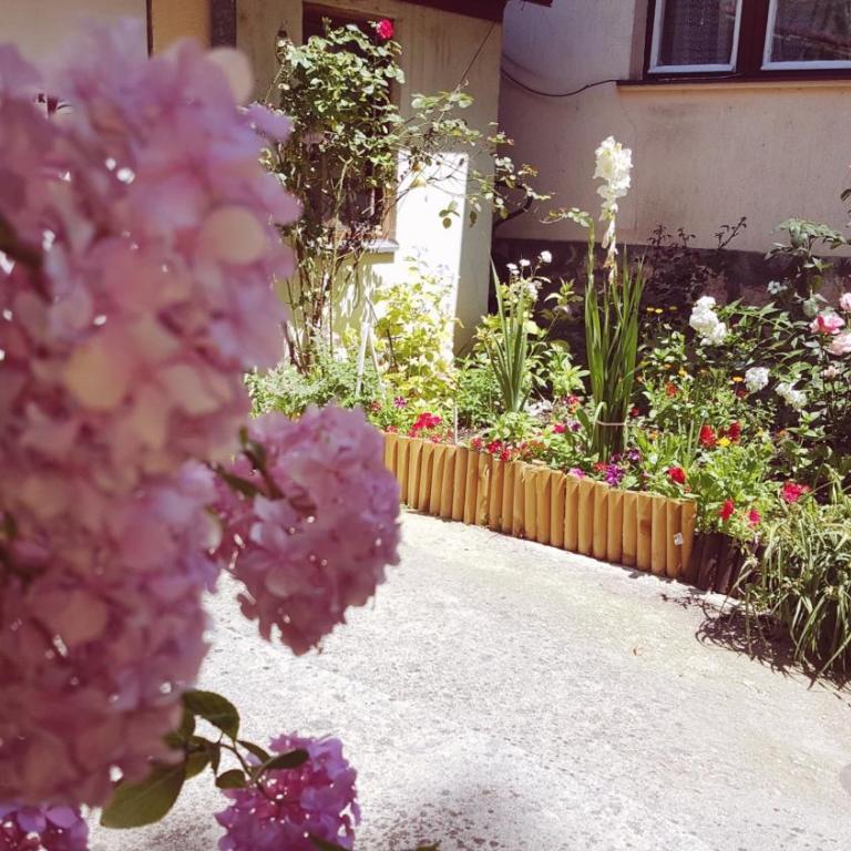 Apartment Cobanija - Apartman sa 3 Spavaće Sobe i Balkonom - 48