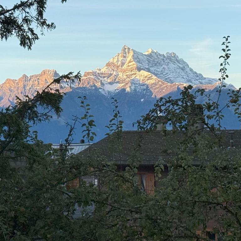 Chalet Julie in Villars-sur-Ollon - Chalet - 28