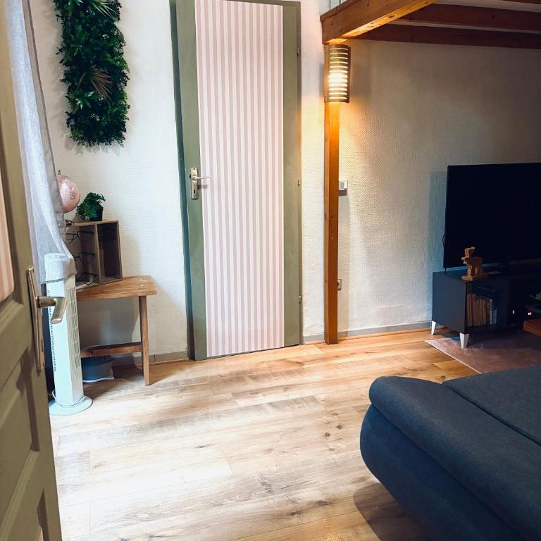 Ecrin de verdure Hyper centre avec jardin commun - Appartement 1 Chambre - 26
