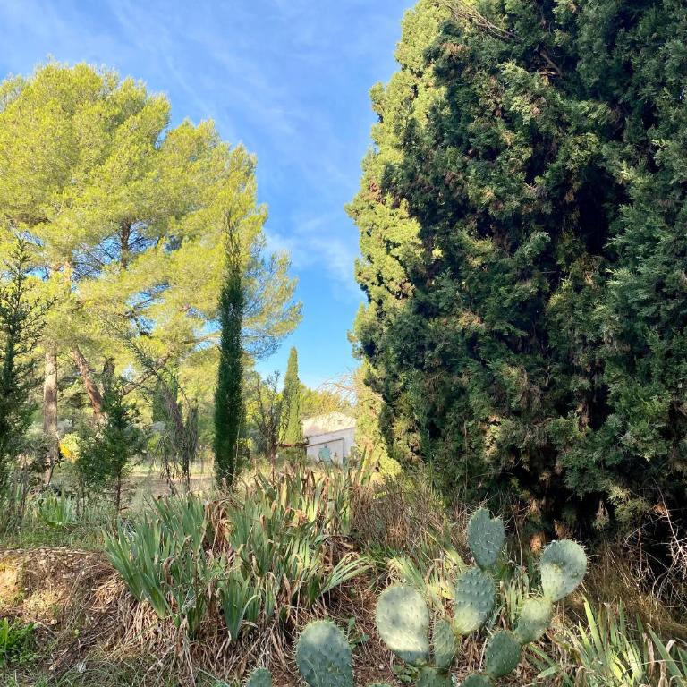 Mas de la Cadenière - Villa Supérieure - 3