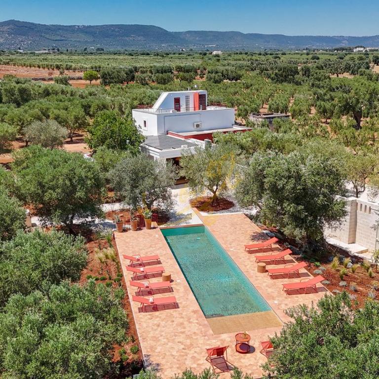 TD Lamia Porta Rossa Countryside wOlive Trees - Vacation Home - 1