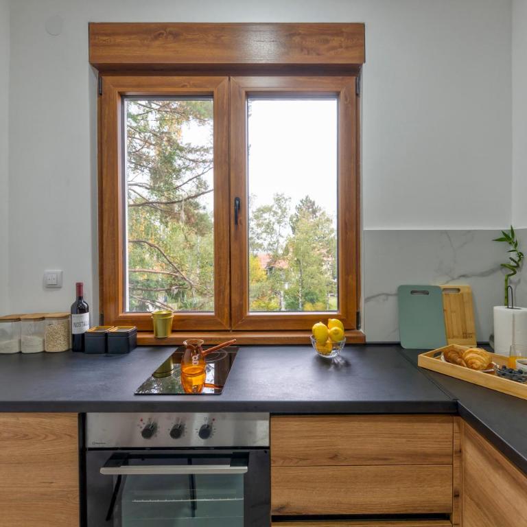 Mount Home Apartment Zlatibor - One-Bedroom Apartment - 8
