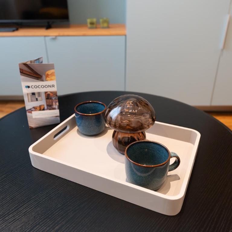Confluence - 2e arrondissement Lyon - One-Bedroom Apartment - 10