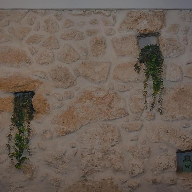 La Ficurinia - Three-Bedroom Apartment - 9