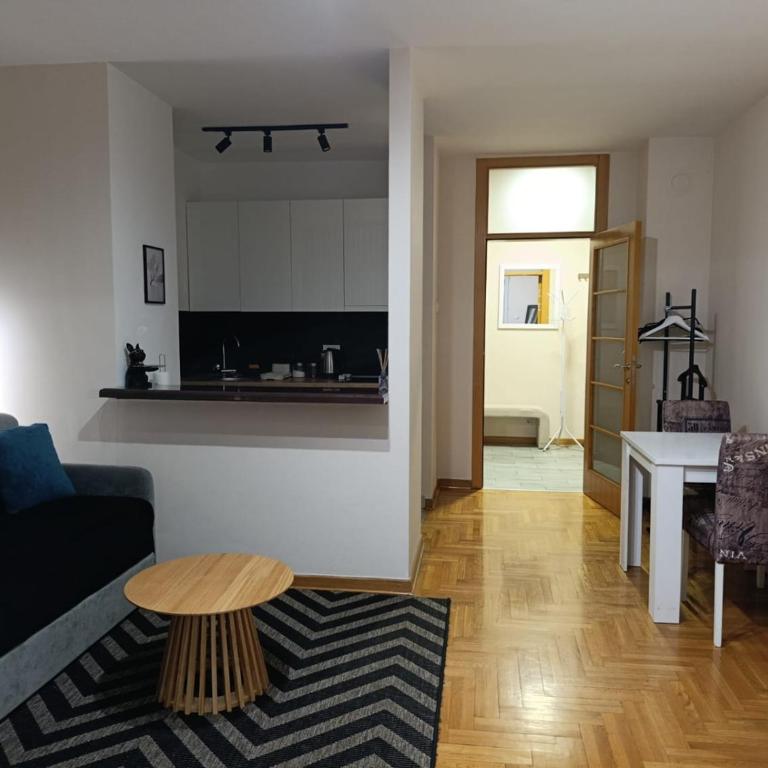 Ink Suite Arena - Apartman sa 1 Spavaćom Sobom - 7