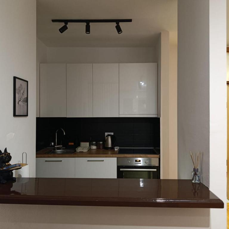 Ink Suite Arena - Apartman sa 1 Spavaćom Sobom - 8