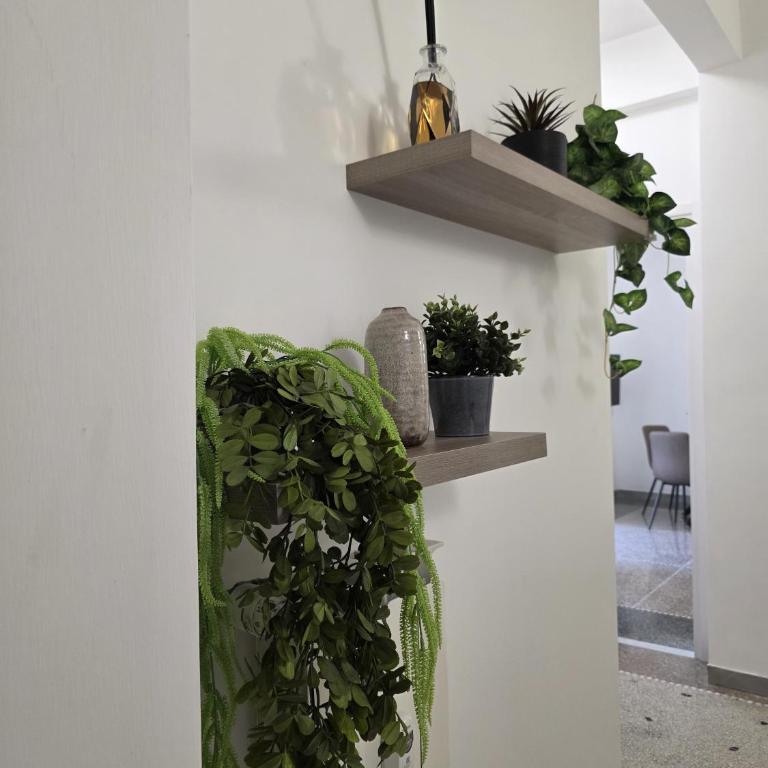 Domus Augusta relax e comfort vicino al centro - Appartamento con 1 Camera da Letto - 49